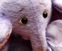 Слоник Тедди