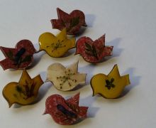 Брошки-птички