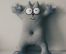 кот Саймона