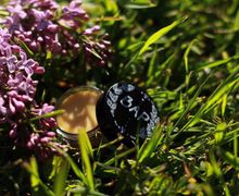 Бальзам для губ