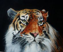 Картина "Шерхан"