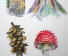 Природа леса