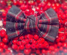 Галстуки-бабочки