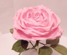 Интерьерная роза