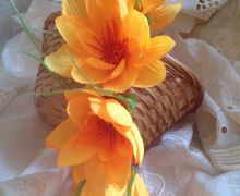 ОБОДКИ И БРОШИ