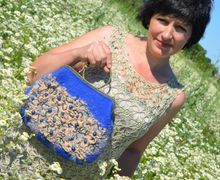 Валяная дамская сумочка " Василек".