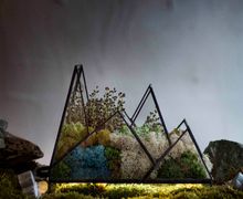 НОЧНИК MOUNTAINS