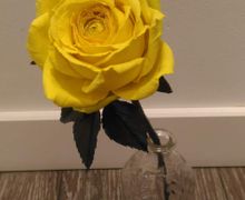 Роза на стебле из фоамирана