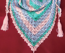 Бактус крючком