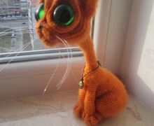 Кот с большими глазами