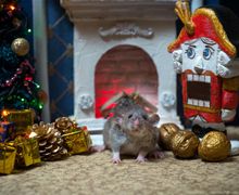 Щелкунчик. Миниарт. Настольная миниатюра ручной работы