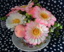 Чашечка гербер