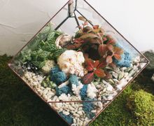 НОЧНИК LIVING OCEAN COLOUR