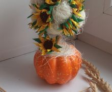 топиарий солнечный ,