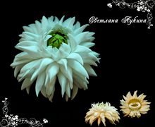 Резинка для волос с цветком георгина