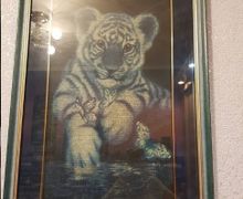 Голубой тигренок