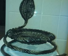 Ваза "Кобра"