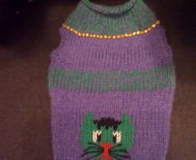 Одежда для животных