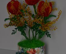 Тюльпанчики