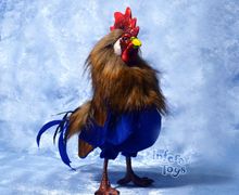 Вестник солнца