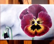 Цветок"Анютины глазки"