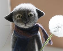 Кот с одуванчиком