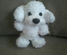 Белый щенок