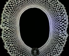 Кружевной ажурный воротник