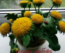 Одуванчики-солнечные зайчики