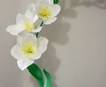 Ростовые фрезии