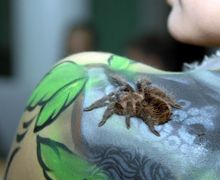 Фестиваль креативных художников "ArtEast"