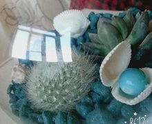 "На дне морском..."