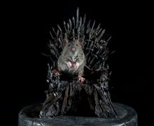 Железный Трон. Миниарт. Настольная миниатюра ручной работы