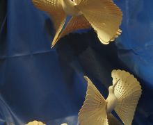 Поступил заказ на "птицу счастья"