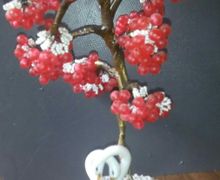 Зимняя рябина