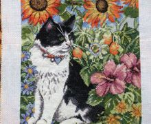 Кот на прогулке