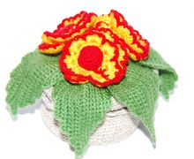 Цветы солнечные