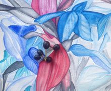 Открытка Ботаника