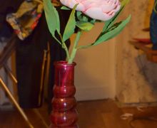 пион на стебле