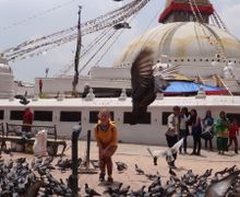 Тренинг "Раненая Птица"