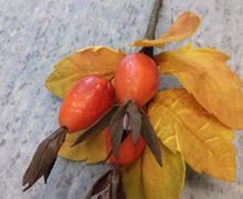 Брошь из фоамирана "Шиповник"