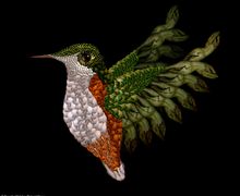 "Обнаженные" цветы и животные Сесилии Уэббер