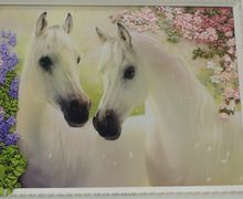 " Белоснежная пара"