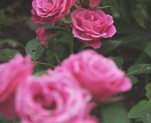 Выставка картин художника Эдгара