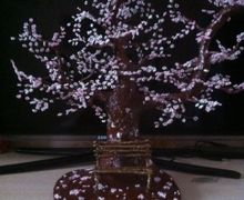 Лавочка для влюбленных под Сакурой сделана из бисера