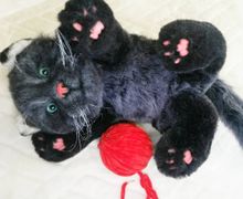 Реалистичный кот Жорик