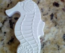 Морской конёк