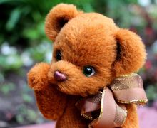 Тедди мишка Редди