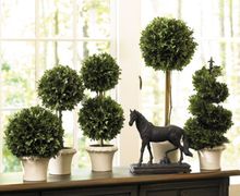 мастер-класс "Осенний Топиарий"