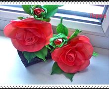 Резиночки Розы